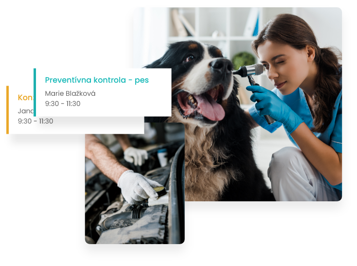 Profesionálne služby